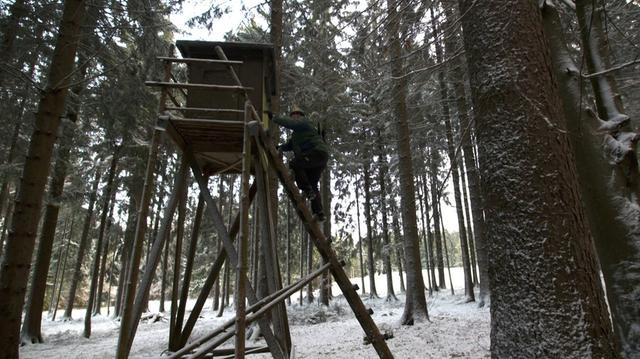 Jagd im OBERPFÄLZER WALD: Struktur <strong>der</strong> Jägerschaft, geltende Jagdzeiten, rechtliche Besonderheiten und bemerkenswerte Fakten über die Region