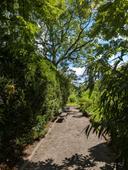Secluded haven, lush and green,
Benches 'neath the hedge unseen.
Summer's warmth, old trees stand tall,
A peaceful garden for one and all.