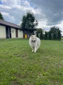 Ben
