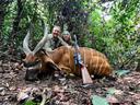 Hunting in South-West Cameroon: Coastal Mountains, Cross-Border Forests, and the Living Echoes of Tradition in a Region of Biodiversity and Complexity

From mangrove swam