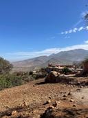 La Chasse au Maroc : Une Aventure Inédite

Une Destination de Chasse Exceptionnelle

Le Maroc, avec sa diversité géographique et ses paysages à couper le souffle, est une destination de choix pour les amateurs de chasse. Des montagnes du Haut Atlas aux vastes plaines du sud, chaque région offre des opportunités uniques pour les passionnés de la chasse.

Une Faune Diversifiée

Le Maroc abrite une faune variée, allant des cerfs de l’Atlas aux lagopèdes, en passant par une multitude d’oiseaux migrateurs. La richesse de la biodiversité en fait un lieu idéal pour les chasseurs, qu’ils soient novices ou expérimentés. Les chasseurs peuvent profiter d'une expérience authentique en traquant différentes espèces dans des paysages majestueux.

Des Chasses Réglementées et Durables

La chasse au Maroc est réglementée pour préserver la faune et favoriser un équilibre écologique. Des permis de chasse spécifiques sont requis, assurant ainsi que les pratiques de chasse respectent l'environnement. Cette approche durable permet aux chasseurs de vivre leur passion tout en contribuant à la conservation des espèces et de leur habitat.

Une Culture de Chasse Bien Ancrée

La chasse au Maroc n'est pas seulement un loisir, c'est une tradition profondément enracinée dans la culture locale. De nombreuses régions célèbrent cet art à travers des festivals et des événements qui rassemblent les passionnés de chasse, renforçant ainsi le lien entre l'homme et la nature.

Des Guides Expérimentés

Pour ceux qui découvrent la chasse au Maroc, travailler avec des guides expérimentés est un atout indéniable. Ces professionnels connaissent parfaitement les terrains, les techniques de chasse et la faune locale, garantissant une expérience enrichissante et sécurisée. Ils partagent également leur savoir-faire et leur passion pour cette activité séculaire.

Conclusion

Que vous soyez en quête d'aventure, d'adrénaline ou simplement d'un moment de tranquillité en pleine nature, la chasse au Maroc offre une expérience inoubliable. Avec ses paysages spectaculaires et sa biodiversité riche, il n'est pas surprenant que de nombreux chasseurs choisissent le Maroc comme leur prochaine destination. Préparez-vous à découvrir une nouvelle dimension de la chasse tout en respectant l'environnement et les traditions locales.

Prêt à Chasser au Maroc ?

Ne manquez pas l'occasion de vivre cette aventure unique. Planifiez votre voyage, choisissez votre guide et partez à la découverte des richesses naturelles du Maroc. La chasse n'est pas seulement un sport, c'est une véritable communion avec la nature.