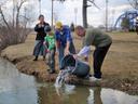Catchable Trout Streams
The Iowa DNR stocks more than 300,000 catchable-sized rainbow trout in 50 Northeast Iowa streams each year from April through October. More than 600 extra brood trout, weighing over 2 pounds each, are also released in small numbers into each stream. The number of trout stocked into each area varies, depending on length of the stream and how many anglers use the area. These criteria also determine how often each area is stocked.

Surveys show there are still good numbers of trout several days after the most recent stocking and throughout the winter. Along with the stocked trout, many areas have good to excellent numbers of wild brown trout that challenge even the best anglers. Brown trout up to 20 inches are possible.

Trout streams will receive both announced and unannounced stockings. There has been no change to the frequency of stockings or the number of fish stocked at any of our trout streams. Moving to unannounced stockings has given DNR fisheries staff more flexibility in completing the stockings and improving efficiency. This has allowed for improved stream access (mowing) and hatchery maintenance, completing projects around the hatchery and planning for stream improvement projects that they otherwise didn't have the time to complete. Almost all of the streams in Northeast Iowa have natural reproduction of brown trout and several have natural reproduction of brook trout. Streams with brown trout reproduction have populations that range from 500 to 2,000 fish per mile that rival driftless streams in Minnesota or Wisconsin.