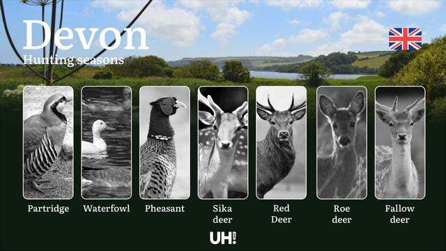 Devon’s <strong>Hunting</strong> Seasons, Protected Species, Legal Requirements, Fines, and Tips: Regional Game Regulations, Equipment, Licensing, and Responsible Wildlife Management