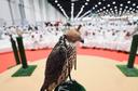 ADIHEX-中東で最大の狩猟＆馬術展示会。

アブダビ国際狩猟-馬術展（ADIHEX） 

*174,000人
*11セクター
·65カ国
*65,000sqmショー区域
*1,400+出展者＆ブランド

遺産は私達の価値および練習を形づける指導力である。 私達の祖先が彼らの知識および技術を生成によって伝えたように、ADIHEXは現代性と伝統を併合する革新的な製品とサービスの提供によって彼らの遺産を名誉を与えるように努力する。 

狩猟や馬術の追求の愛好家として、ADIHEXは私たちの豊かな遺産に敬意を払いながら、共有情熱を祝うイベントです。

アブダビ国際狩猟-馬術展示会（ADIHEX）は、ビジネスが174,000以上の対面の顧客とつながり、比類のないブランドプレゼンスを構築し、地域で無限の新しいリードを生 UAEとGCCは、地域最大のイベントの一つで強化されたネットワーキングの機会を提供しなければならない機会のロックを解除します。

誰が展示していますか？

以下の製造業者、卸売業者、小売業者および流通業者:

*獣医製品＆サービス
*狩猟観光＆サファリの目的地
*ハヤブサ-ハヤブサ製品
·環境-文化-遺産の推進-保全
*ハンティング＆キャンプ用品サプライヤー
*屋外の余暇車装置
-釣り具-マリンスポーツ
*馬術製品サプライヤー
*職人および芸術及び技術の製造者