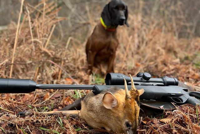 Jagd im SIEGERLAND: Jagdliche Gegebenheiten, spezifische Herausforderungen <strong>der</strong> Jagdausübung und bemerkenswerte Aspekte <strong>der</strong> Jagd in <strong>der</strong> Region