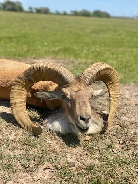 Photo from news post