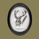 SAUER & SOHN Hunting Rifles Reviews, Tips, Classic Guns & Owners