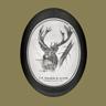 SAUER & SOHN Hunting Rifles Reviews, Tips, Classic Guns & Owners avatar