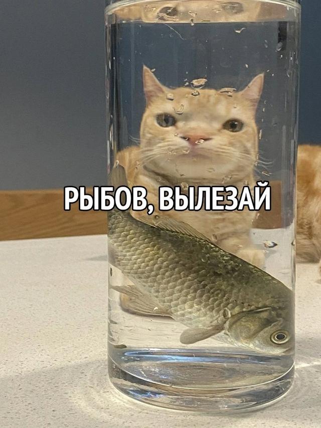 Photo from news post