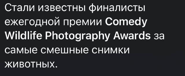 Photo from news post