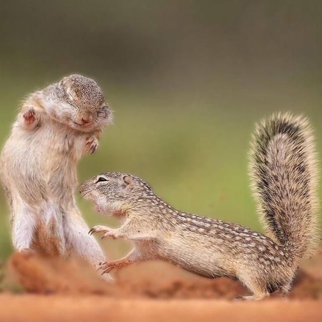 Photo from news post