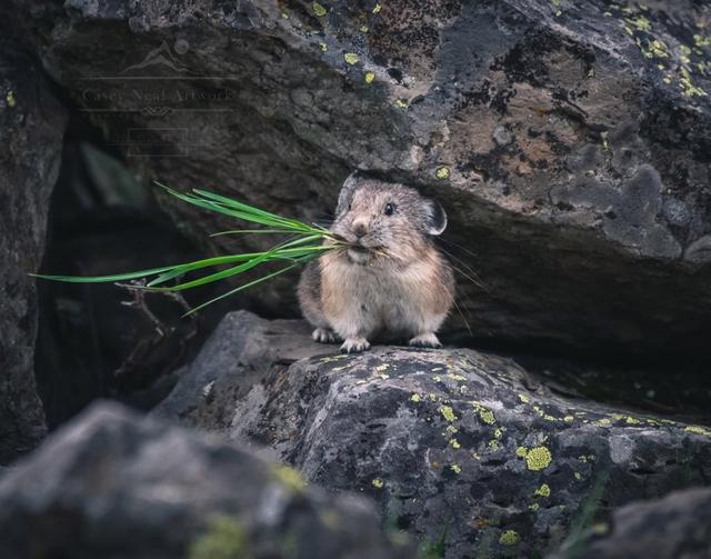 Photo from news post