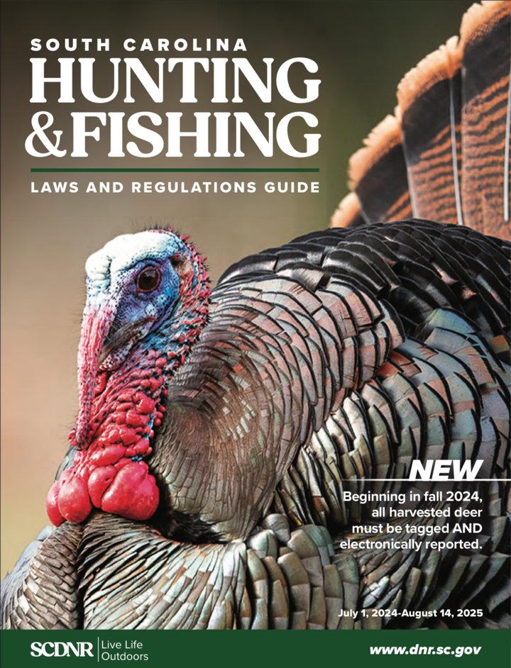 HUNTING SEASONS IN UTAH 2025–26: Deer Hunting, Big Game and Small Game, Licenses, and Regulations Guide