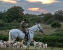 🦌 Hunting on Horseback with Dogs: The Thrill and Tradition 🏇🐕

For true hunters, there's nothing like feeling connected to nature as you ride through forests and fields on horseback, accompanied by loyal dogs. Hunting on horseback with dogs is an art that requires skill, training, and respect for nature.

This method of hunting is popular among those who appreciate tradition and want to challenge themselves in the wild. Horses help hunters cover long distances quickly, while dogs are reliable companions that assist in tracking and pursuing game. This form of hunting not only gets the adrenaline pumping but also strengthens the bond between humans, animals, and the natural world.

❗ Remember, safety is key. Ensure your horse and dog are trained and prepared for such conditions. Hunting is not just a sport—it's an ancient art that demands respect.

#Hunting #HorsebackHunting #DogsAndHorses #WildlifeAdventure #TraditionalHunting #OutdoorLifestyle #NatureLovers #HunterLife #FieldSports #AdventureAwaits #RespectNature #EquestrianLife #HuntingCommunity #OutdoorSports #WildlifeConservation #HunterAndHound