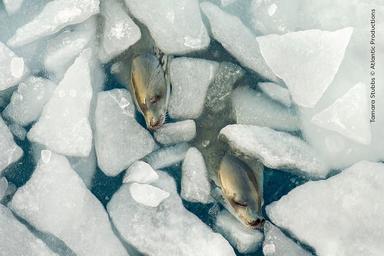 Photo from news post
