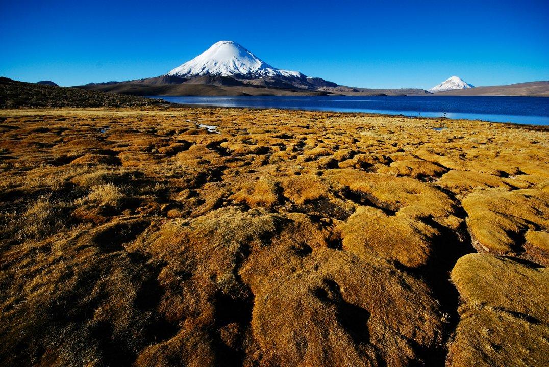 La Isla Grande de Chiloé: naturaleza y geografía, ordenamiento jurídico, costumbres de la caza en Chile