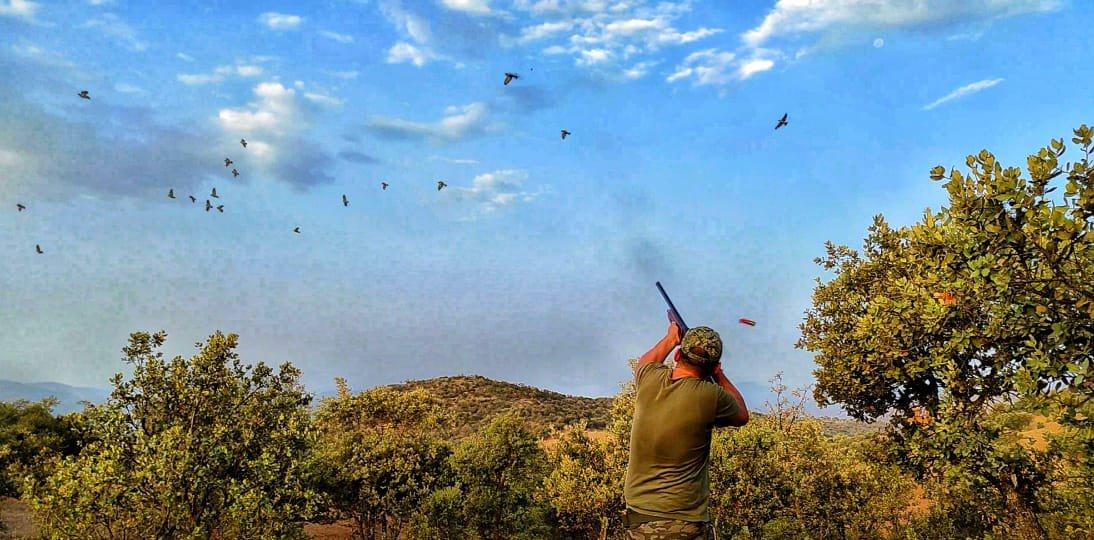 Compliance with Laws on the Protection of Migratory Birds in the Laayoune Region is the Key to Sustainable Hunting