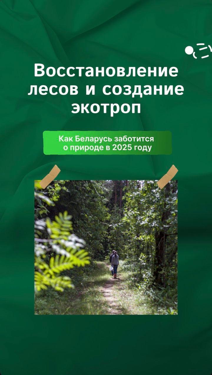 Photo from news post