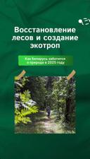 По информации Минлесхоза, в 2025 году — Год благоустройства - стартует масштабная программа по восстановлению и облагораживанию лесных территорий.