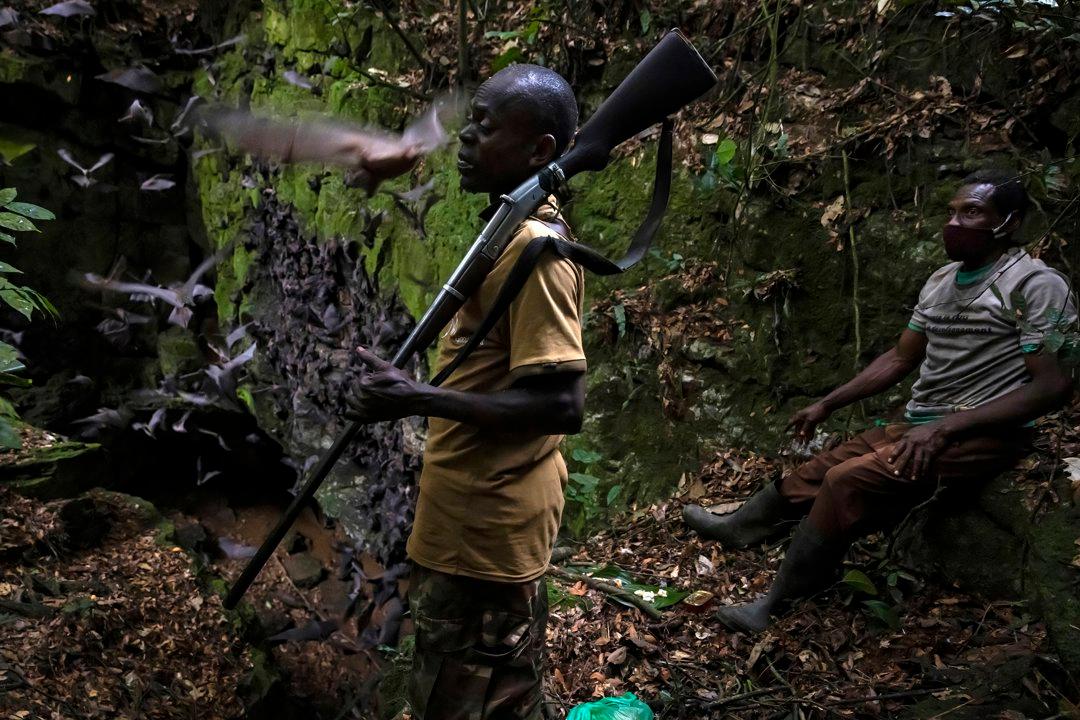 Hunting in Ogooué-Lolo, Gabon: Geography, Demographics and Hunting Seasons, Hunting Legislation of Gabon