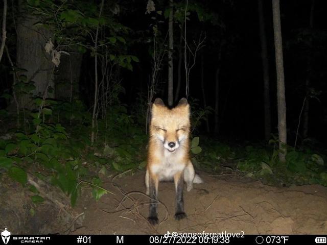 Photo from news post