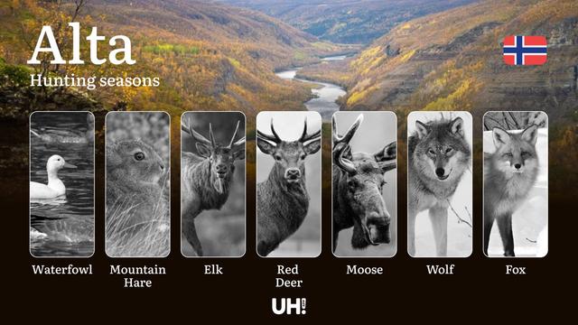 <strong>Hunting</strong> Seasons in Alta: Regulations, Permits, and Time for <strong>Hunting</strong>, Documents and Organizations