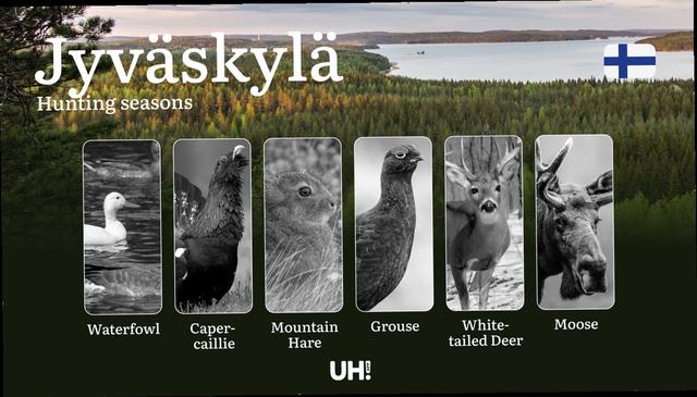 Hunting Seasons in JYVÄSKYLÄ: Main Hunting Periods, Modern Regulations, Required Documents and Practical Recommendations