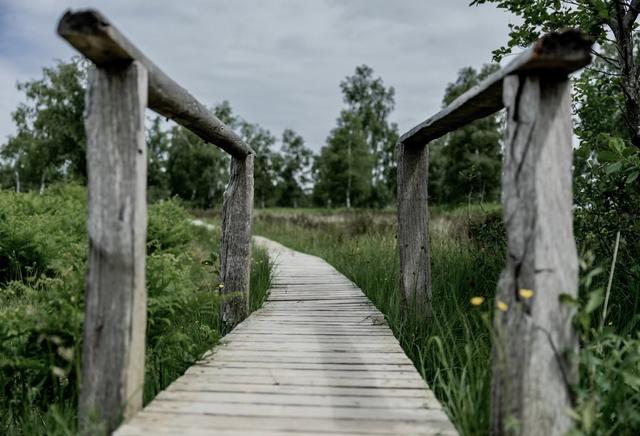 Jagd im HOHEN VENN: Zusammensetzung <strong>der</strong> Jägerschaft, spezielle Anforderungen an die Jagdausübung, geltende Jagdzeiten und Schutzbestimmungen