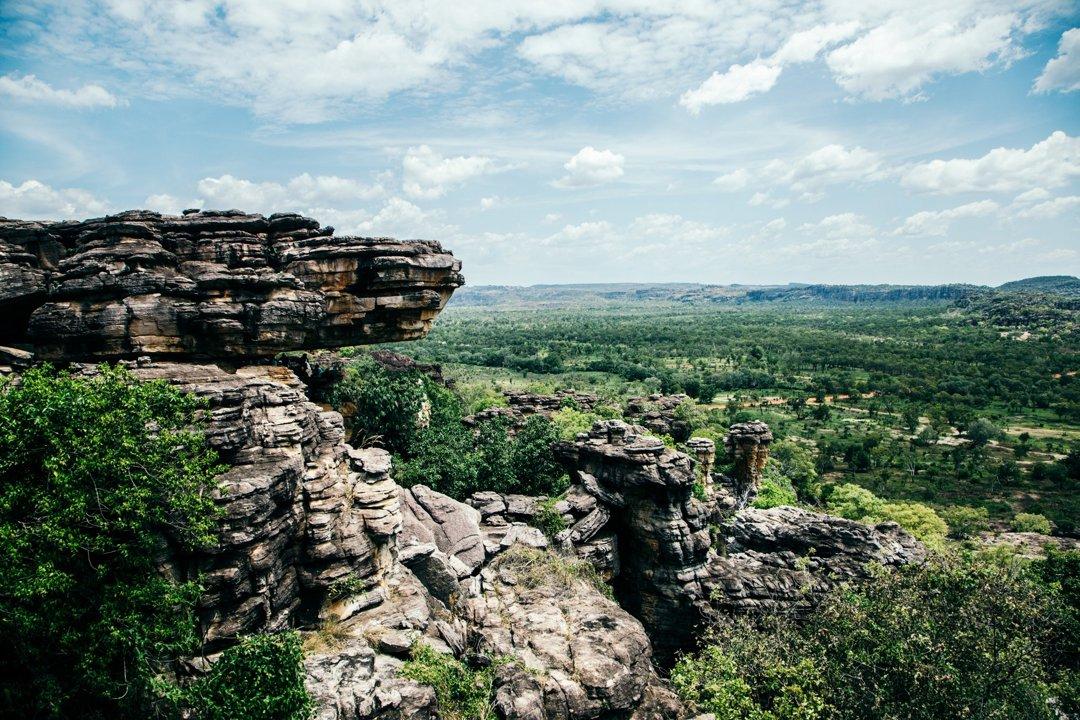Top End Hunting NT: Adventure and Strategy in Tropical North.