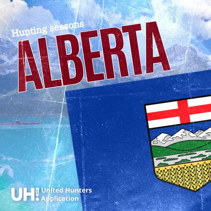 Hunting Seasons in Alberta, Canada 2025–26: Big Game and Small Game, Licenses, and Regulations Guide