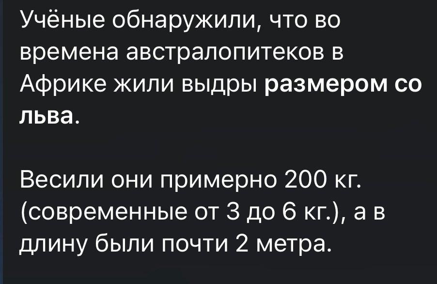 Photo from news post