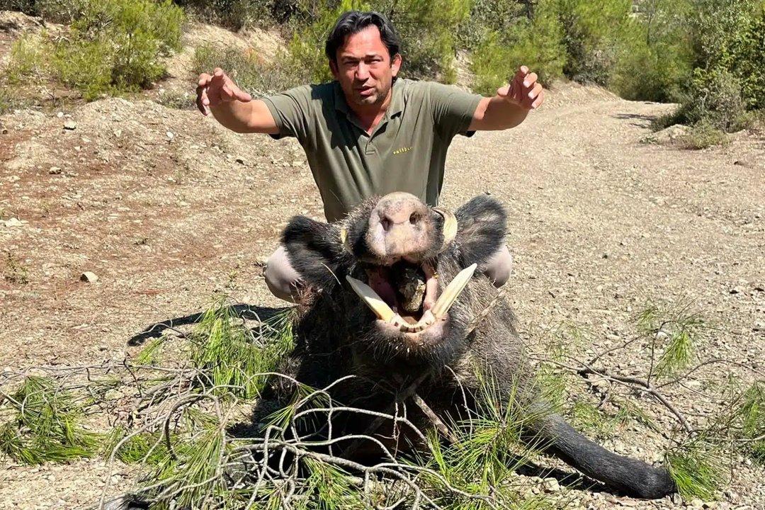 Jagd in Schaan (Liechtenstein): Geografische Besonderheiten, Natur, Wildbestände, Gesetze und Traditionen 