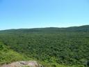 Ultimate Hunting Guide to CABO DELGADO, Mozambique: Wildlife, Seasons, Methods, and Conservation

Nestled in the northern reaches of Mozambique, Cabo Delgado is a hidden 