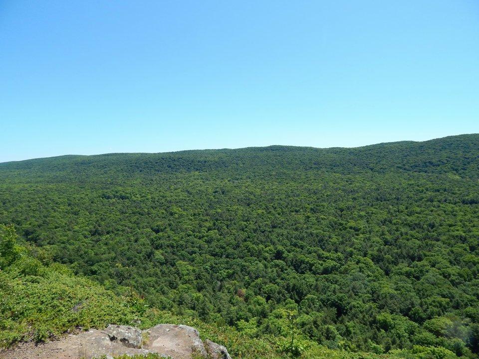 Ultimate Hunting Guide to CABO DELGADO, Mozambique: Wildlife, Seasons, Methods, and Conservation