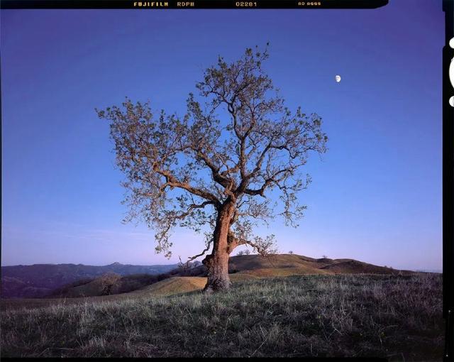 Photo from news post