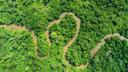Hunting in Cuvette-Ouest: Remote Ecosystems, Low Population Density, and Elusive Game Species

Hunting in Cuvette-Ouest region, located in the northwestern part of the Re