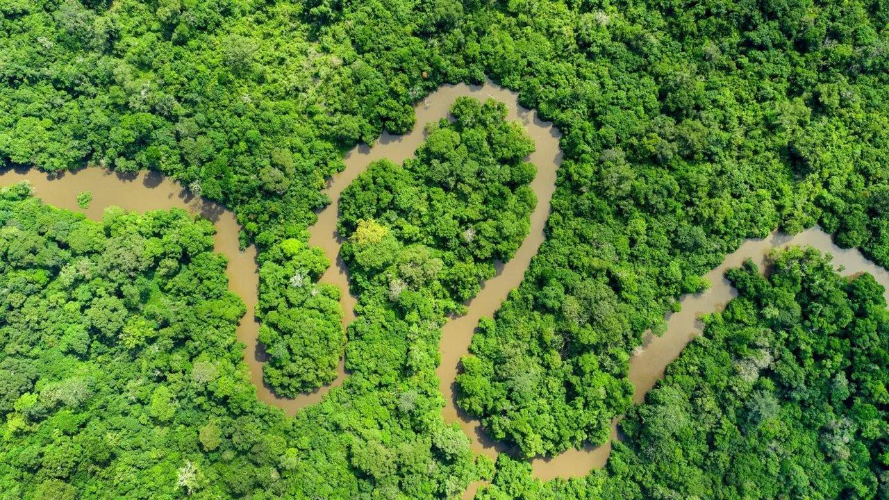 Hunting in Cuvette-Ouest: Remote Ecosystems, Low Population Density, and Elusive Game Species