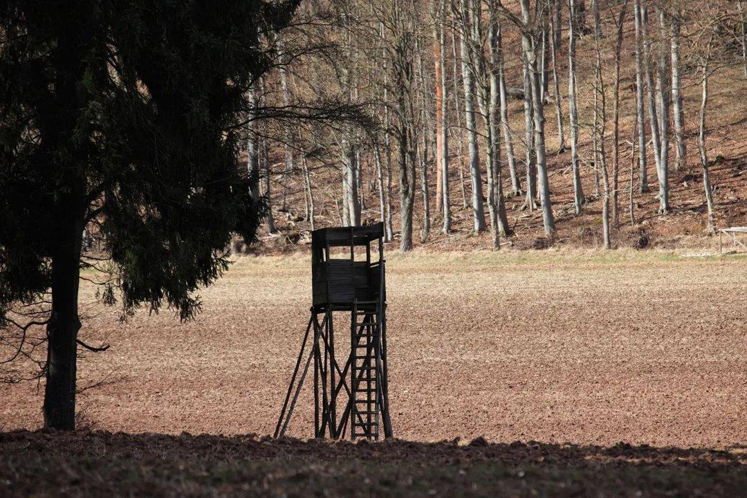 Jagd in Planken, Liechtenstein: Wildarten, Naturräume, Jagdgemeinschaften, Saisonale Besonderheiten,  Gesetze und Traditionen