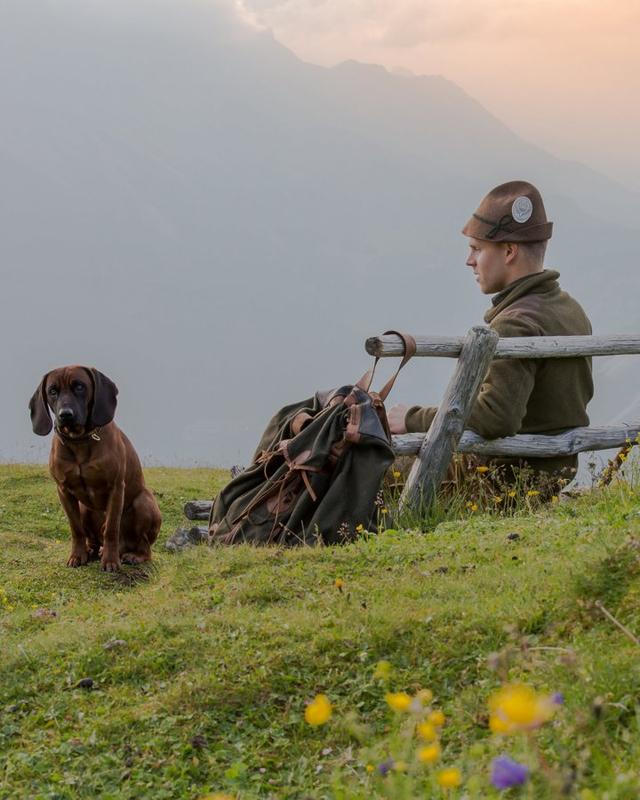 Die Jagd im Salzburg-Umgebung-Bezirk: Methoden, Merkmale, Jäger, Tierpopulationen, Zeiträume, Rahmenbedingungen, Vereine, Traditionen, Aspekte