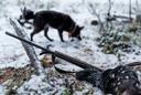The Ultimate Guide to Kittilä Hunting: Clubs and Communities, Laws, Geography, Types, and Local Traditions

Kittilä, a remote municipality in Finnish Lapland, epitomizes 