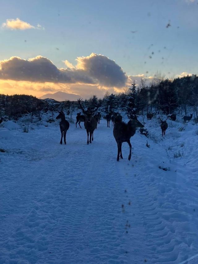 Photo from news post