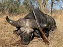 Hunting in Dodoma, Tanzania: Laws and Demographics, Seasons and Clubs, Tanzanian Communities for Hunters  

Hunting Features in the Dodoma Region of Tanzania

Dodoma, the