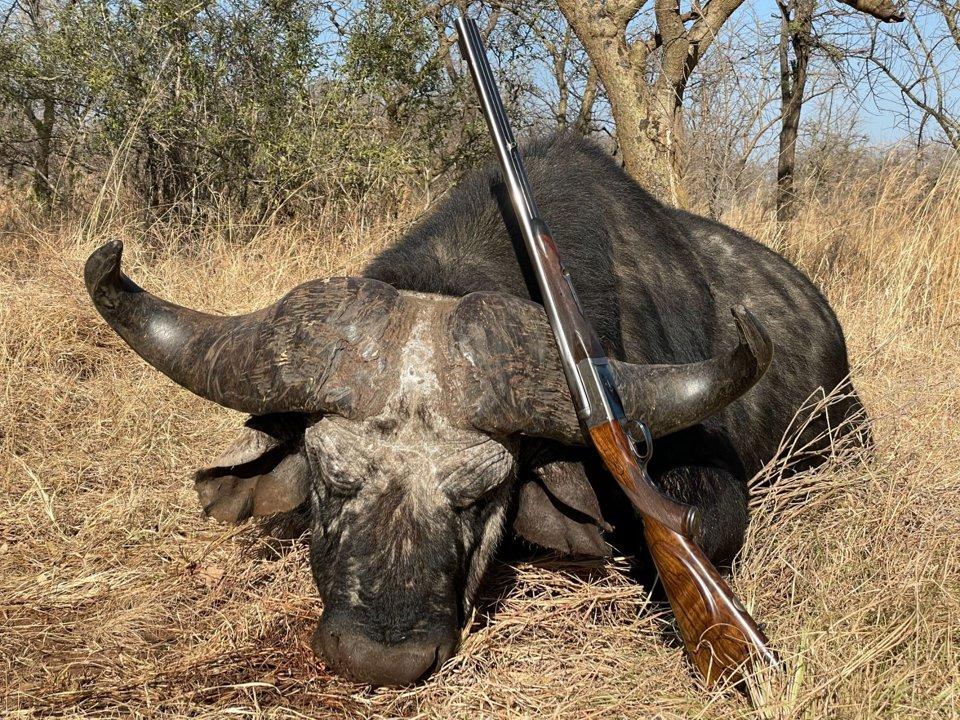 Dodoma: Official Hunting Dates, Regulatory Limits and Seasonal Prohibitions, Licensing Rules, Fines and Legal Penalties for Non-Compliance, Strategic Preparation, Timing, Equipment