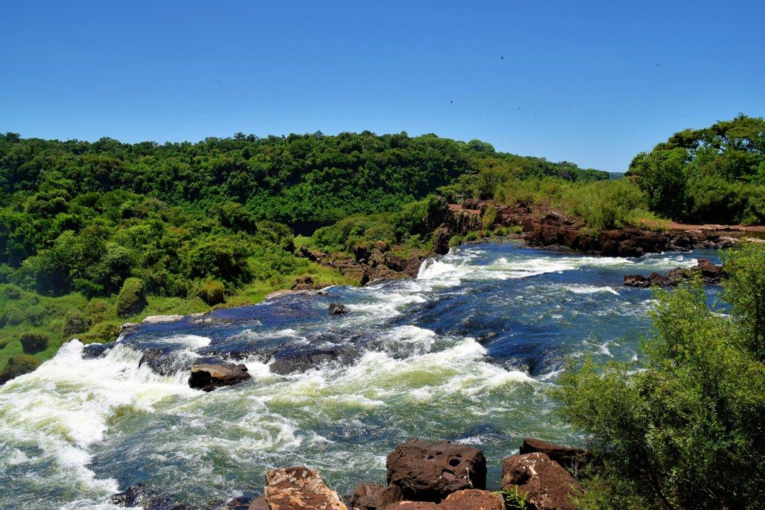 Hunting in NAMPULA: A Complete Guide to Wildlife, Traditions, Regulations, and Exceptional Hunting Experiences in Mozambique’s Northern Region