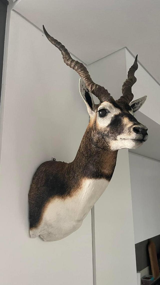 Photo from news post