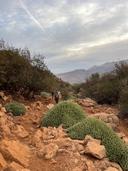 Boar Hunting in Morocco: A Comprehensive Guide part 2

Boar hunting in Morocco is an incredible adventure. read the first part in this post

https://m.uh.app/news/18be0780-95de-11ef-9cee-7b05b905c18c

The Souss Valley region for Boar Hunting

The Souss Valley is renowned for its agricultural productivity and diverse wildlife. This area features rolling hills, fields, and brush, providing a unique habitat for wild boars. Since the Souss Valley is less frequented by tourists, it can offer a more secluded hunting experience.
The terrain here allows for different hunting techniques and can cater to both traditional methods and modern rifle hunting. As you engage in your hunt, take time to appreciate the agricultural practices of the local farmers, which contribute significantly to Morocco’s economy.

Hunting Methods and Techniques for Boar Hunting in Morocco

When it comes to boar hunting, various methods can be adopted, each with its own set of challenges and rewards. Understanding these techniques enables hunters to select the one that aligns best with their skills and preferences.

Traditional Methods Boar Hunters

Many hunters in Morocco still engage in traditional hunting practices, where they utilize skills passed down through generations. One popular method is stalking, which requires patience and stealth. Hunters must blend into their environment and move quietly to close the gap between themselves and the boars.
Calling is another widely used technique. Hunters can mimic sounds made by wild boars to attract them. It requires practice and an understanding of boar vocalizations to be effective.

Modern Methods Boar Hunting in Morocco

Modern hunting methods have also gained popularity. These include the use of high-powered rifles equipped with state-of-the-art optics. This approach tends to offer greater accuracy and effectiveness, especially at longer ranges.
Another modern technique is using dogs trained to track and corner wild boars. This method not only aids in locating the boars but also increases the chances of a successful hunt. However, it requires a solid understanding of dog handling and can be quite challenging.

Essential Gear for Boar Hunting

Having the right gear is fundamental to a successful boar hunting trip. Depending on your chosen method, the items you need may vary, but some essentials remain constant across the board.
Choosing the right clothing is vital. Opt for breathable, moisture-wicking fabrics to maintain comfort, especially during long hours in the field. Camouflage is beneficial for blending in with the surroundings.
Footwear should provide support and grip, as you may find yourself traversing uneven terrain. Waterproof boots are also recommended, particularly in the mountainous regions where rain can occur suddenly.

Weapons and Ammunition for Boar Hunting 

A reliable weapon is crucial for effective hunting. Most hunters prefer bolt-action rifles chambered in calibers suitable for large game hunting.