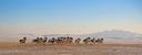 Darkhan-Uul Province: A Hidden Hunting Gem with big game in Northern Mongolia, hunting seasons, Demographics, Associations and Clubs, Laws

Nestled in northern Mongolia, 