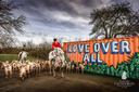 Love over all. Not a Boxing Day photo, but a Christmas Eve eve one from my day
