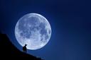 🌔Лунный календарь и успех охоты🌒

Знаете ли вы, что многие охотники пользуются #лунным_календарем для планирования охоты? Считается, что фазы луны могут влиять на активность животных и успешность охоты. Например, в полнолуние дикие звери, такие как #кабан или #лось, становятся более осторожными, так как светлая ночь облегчает охотнику возможность их обнаружить. В то же время, на новолуние звери более активны, что повышает шансы на удачную охоту.

Как фазы луны влияют на охоту?
Полнолуние. Животные меньше выходят на открытые участки, предпочитая оставаться в тени и густой растительности. Это время считается наименее удачным для охоты.
Новолуние. В этот период дичь активна в течение всего дня, что делает охоту более продуктивной.
Растущая луна. Животные начинают больше двигаться на рассвете и закате, что идеально для #охоты_на_мелкую_дичь и птиц.

Опытные охотники в Сибири уже давно применяют лунный календарь при планировании #зимней_охоты на соболя и других пушных зверей. Они утверждают, что знание лунных фаз позволяет значительно повысить эффективность охоты и сокращает время выслеживания.

Теги
#охота #лунный_календарь #успешная_охота #охота_на_луну #фазы_луны #охота_на_кабана #охота_на_лося #зимняя_охота #охота_на_птиц