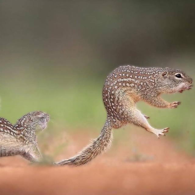 Photo from news post